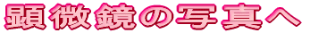 ̎ʐ^