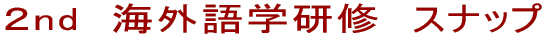 COwCiQj